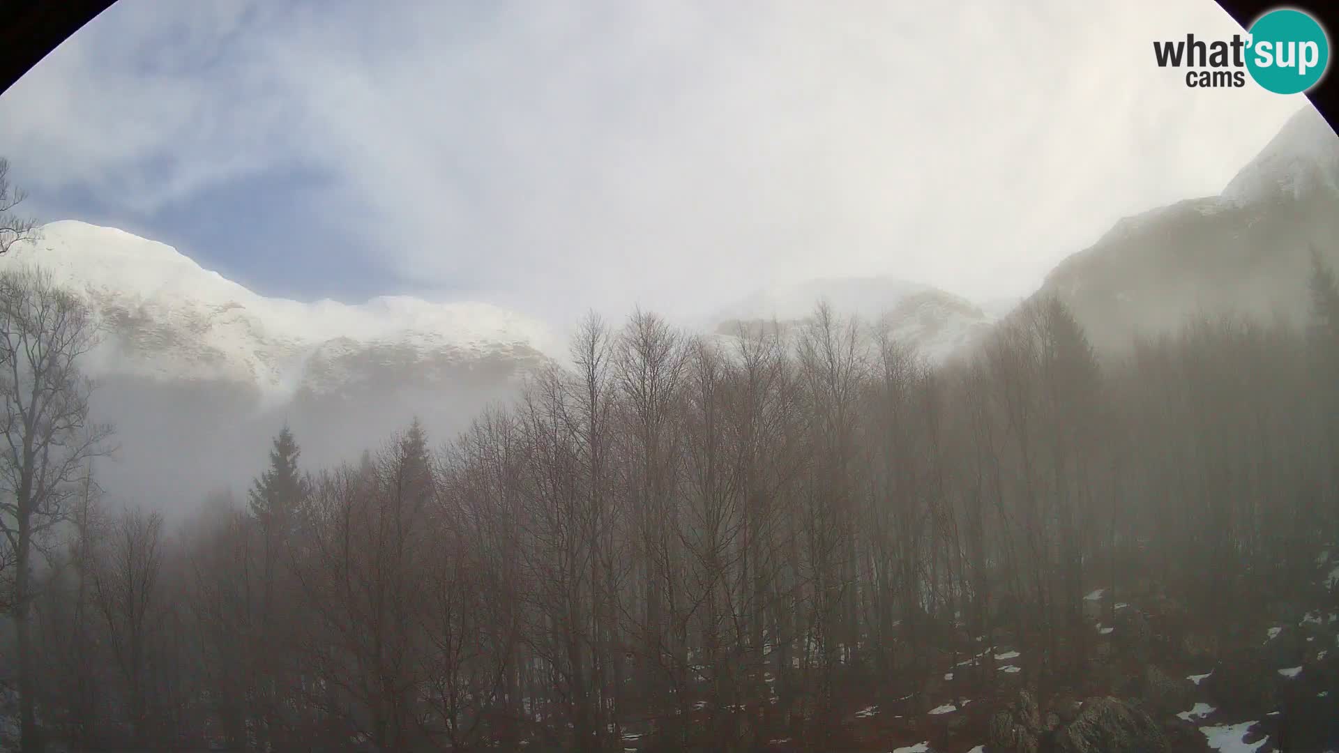 PLANINA RAZOR webcam (1315) | view to Vogel and Globoko