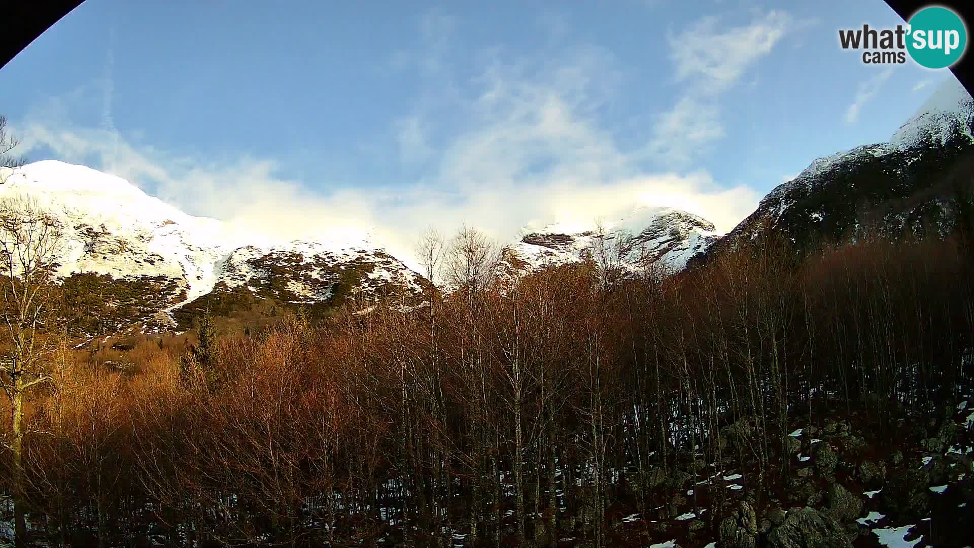 PLANINA RAZOR Live Cam (1315) | vista su Vogel e Globoko