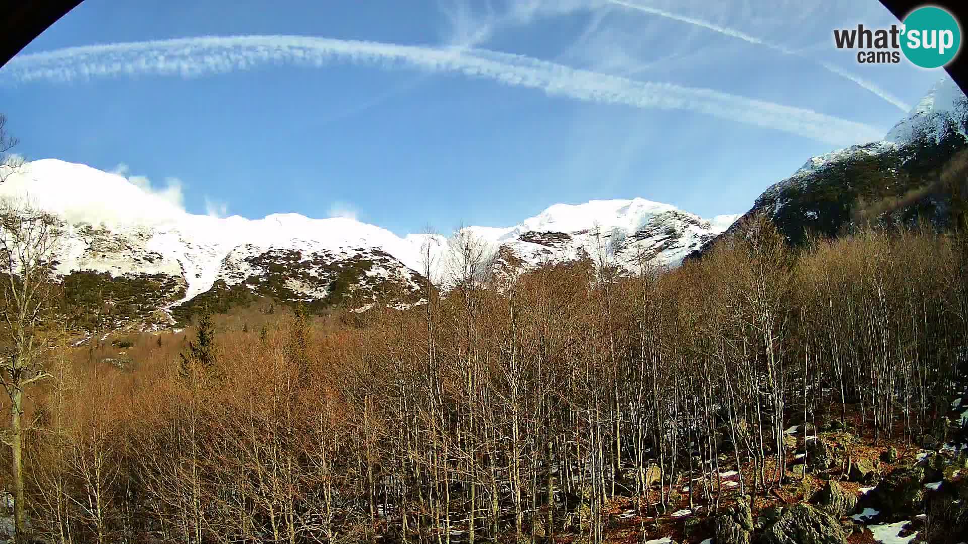 Cámara web PLANINA RAZOR (1315) | vista a Vogel y Globoko