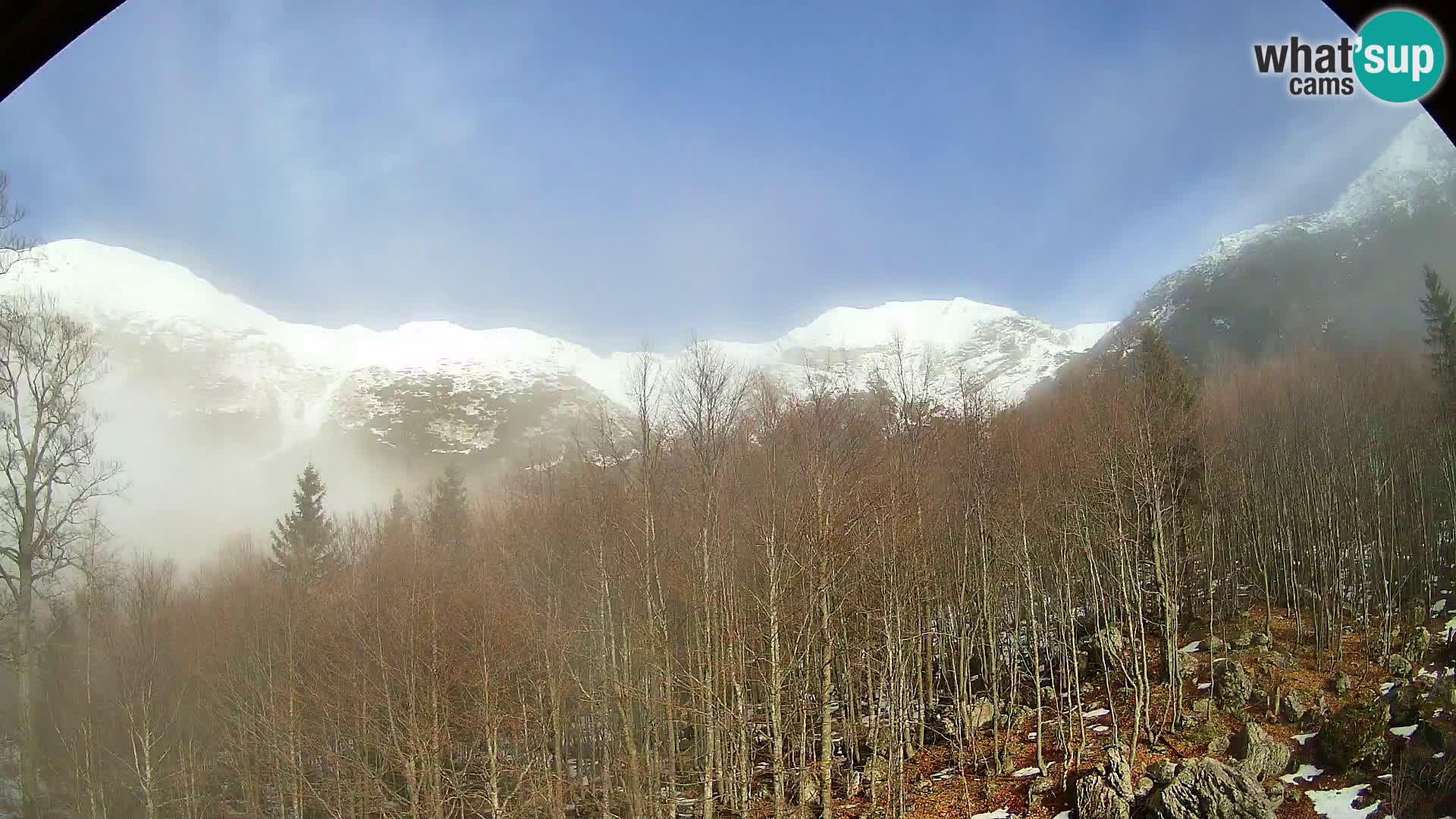 PLANINA RAZOR kamera (1315) | pogled na Vogel in Globoko