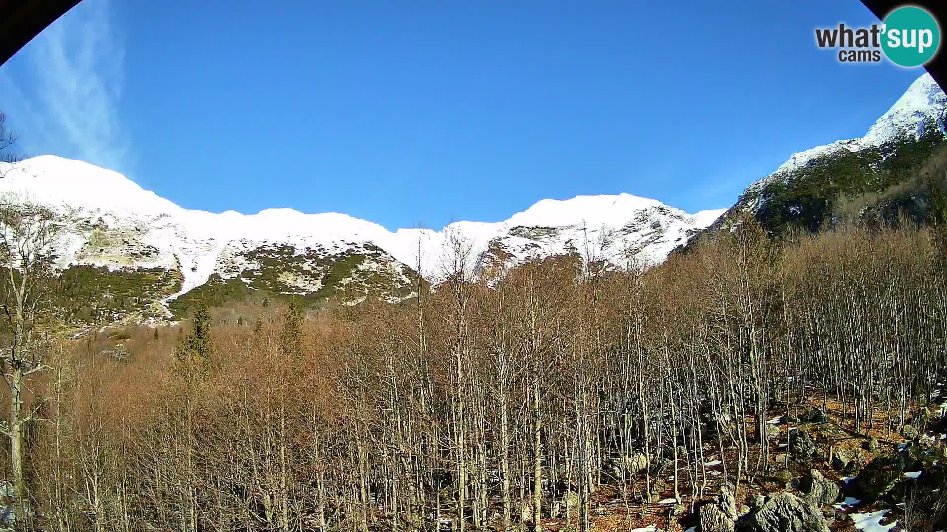 Webcam PLANINA RAZOR (1315) | Blick auf Vogel und Globoko