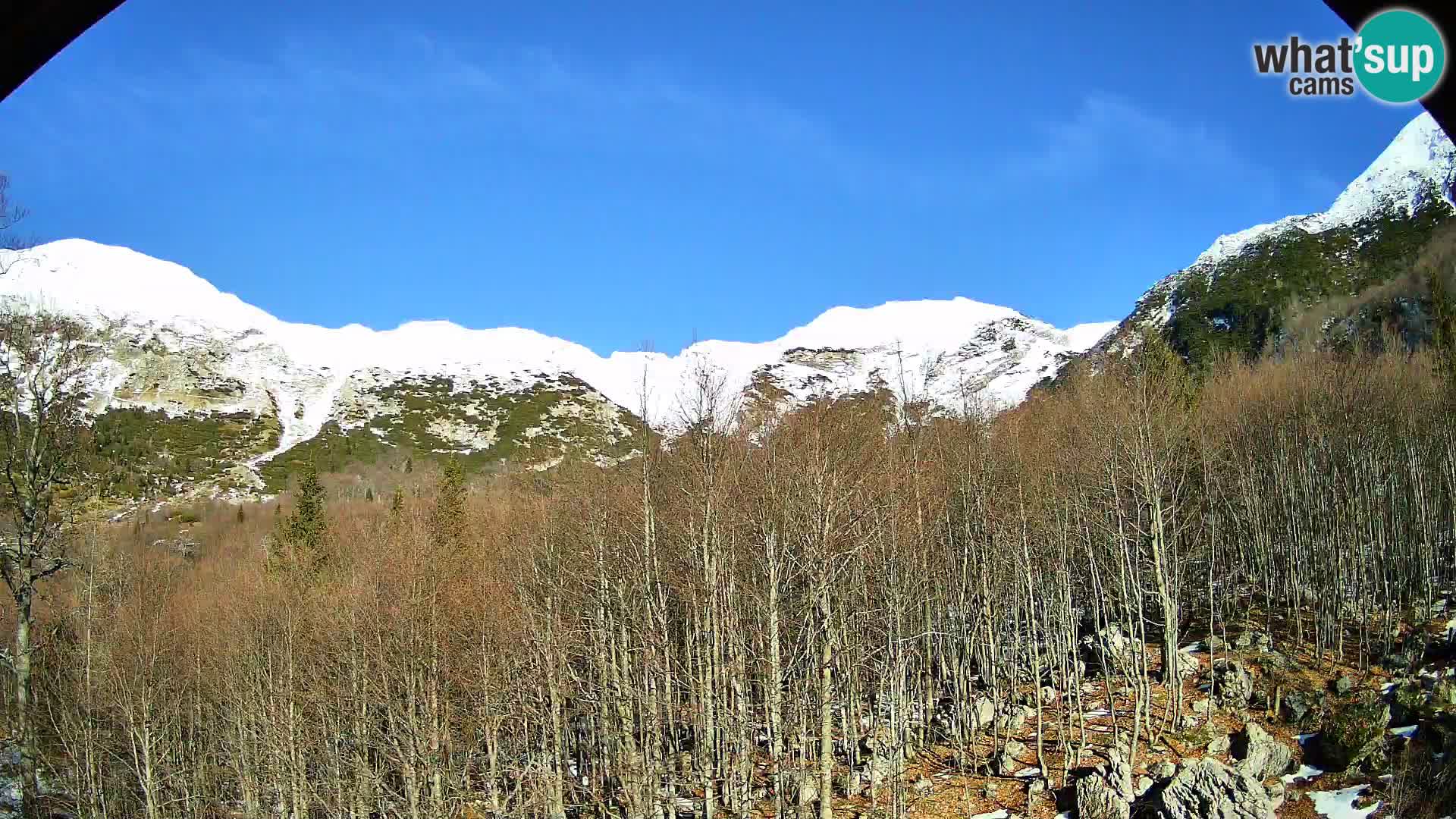 Webcam PLANINA RAZOR (1315) | Blick auf Vogel und Globoko