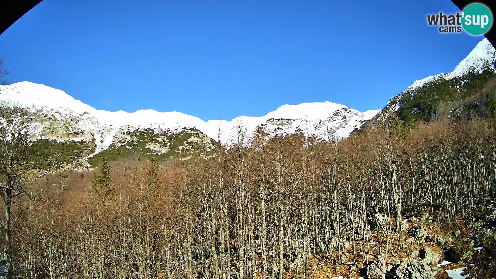 PLANINA RAZOR kamera (1315) | pogled na Vogel in Globoko