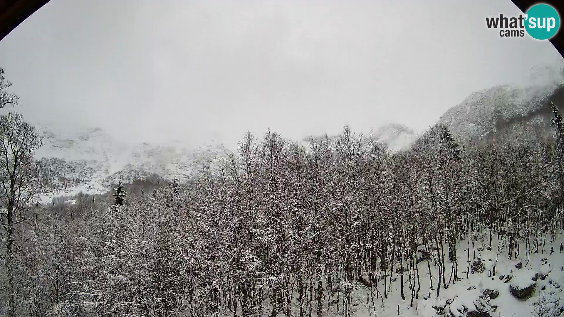 Livecam PLANINA RAZOR (1315) | vue sur Vogel et Globoko