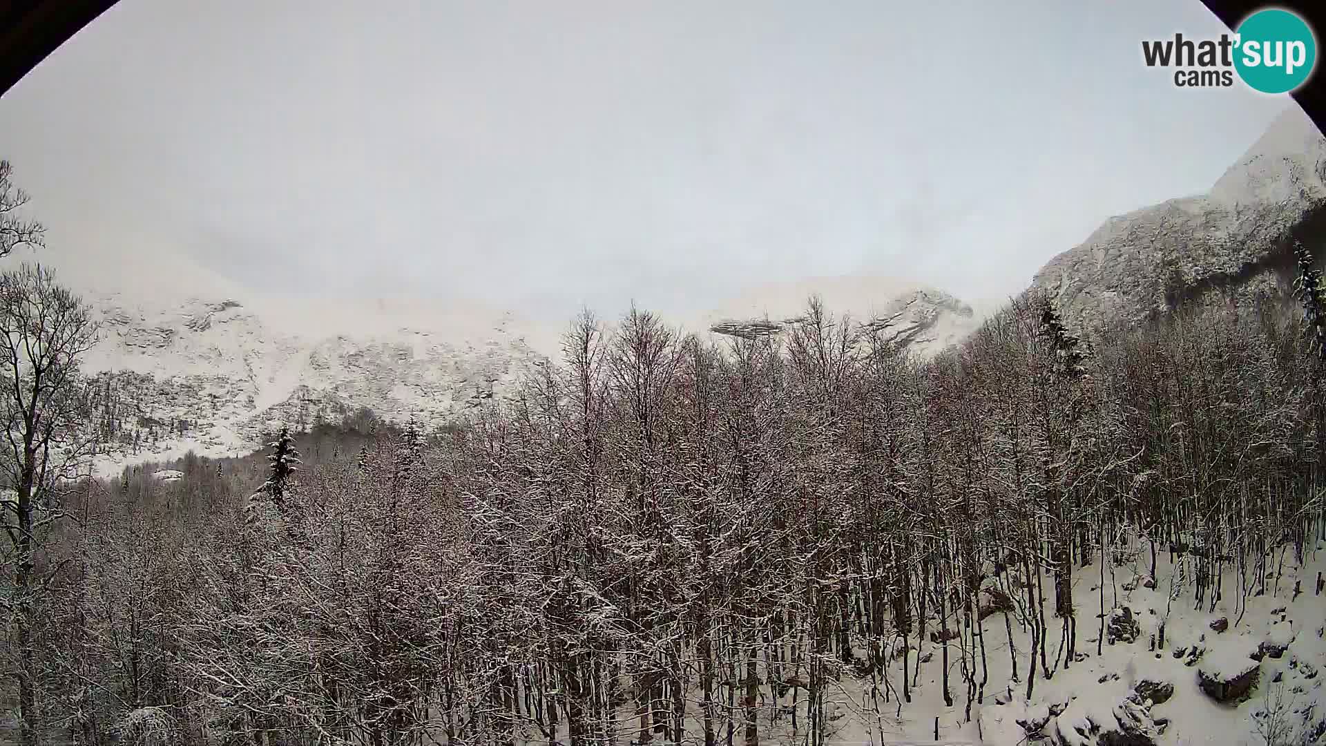 Webcam PLANINA RAZOR (1315) | Blick auf Vogel und Globoko