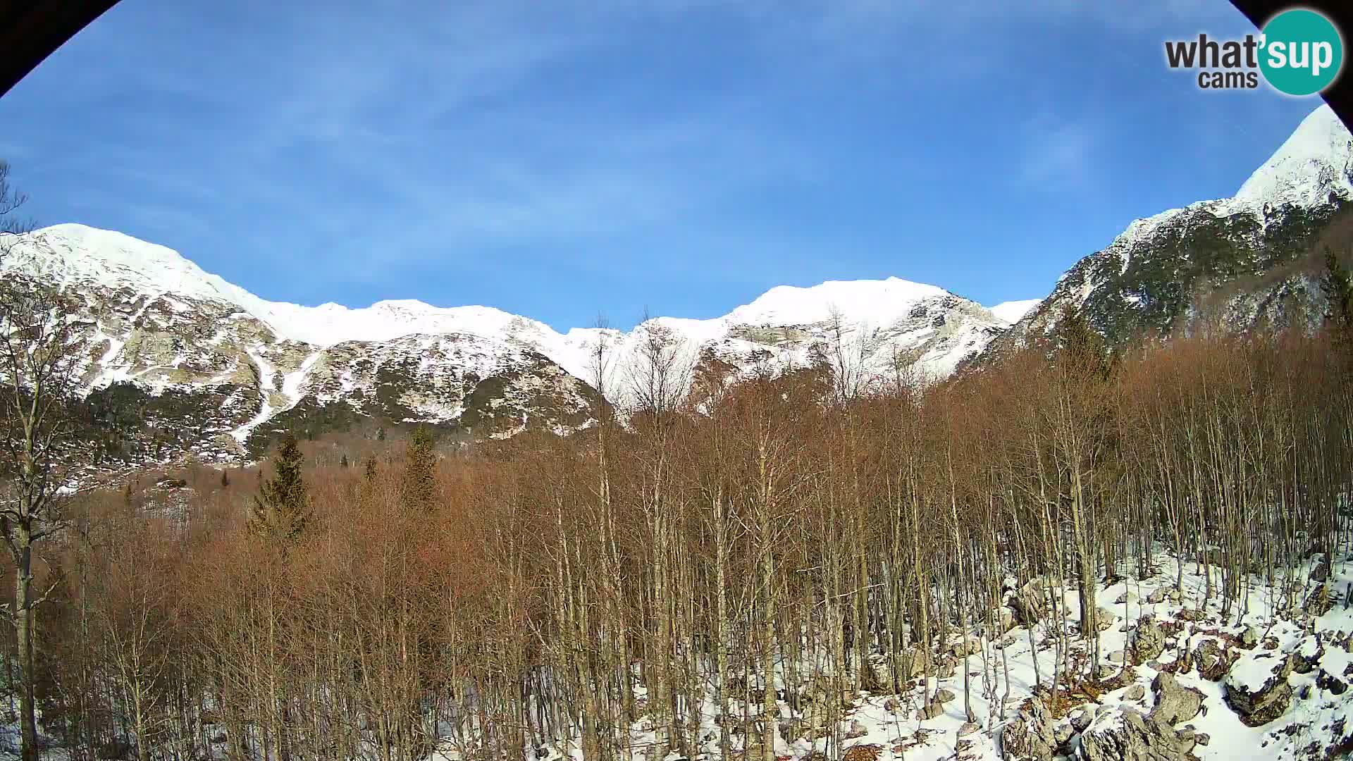 PLANINA RAZOR webcam (1315) | view to Vogel and Globoko