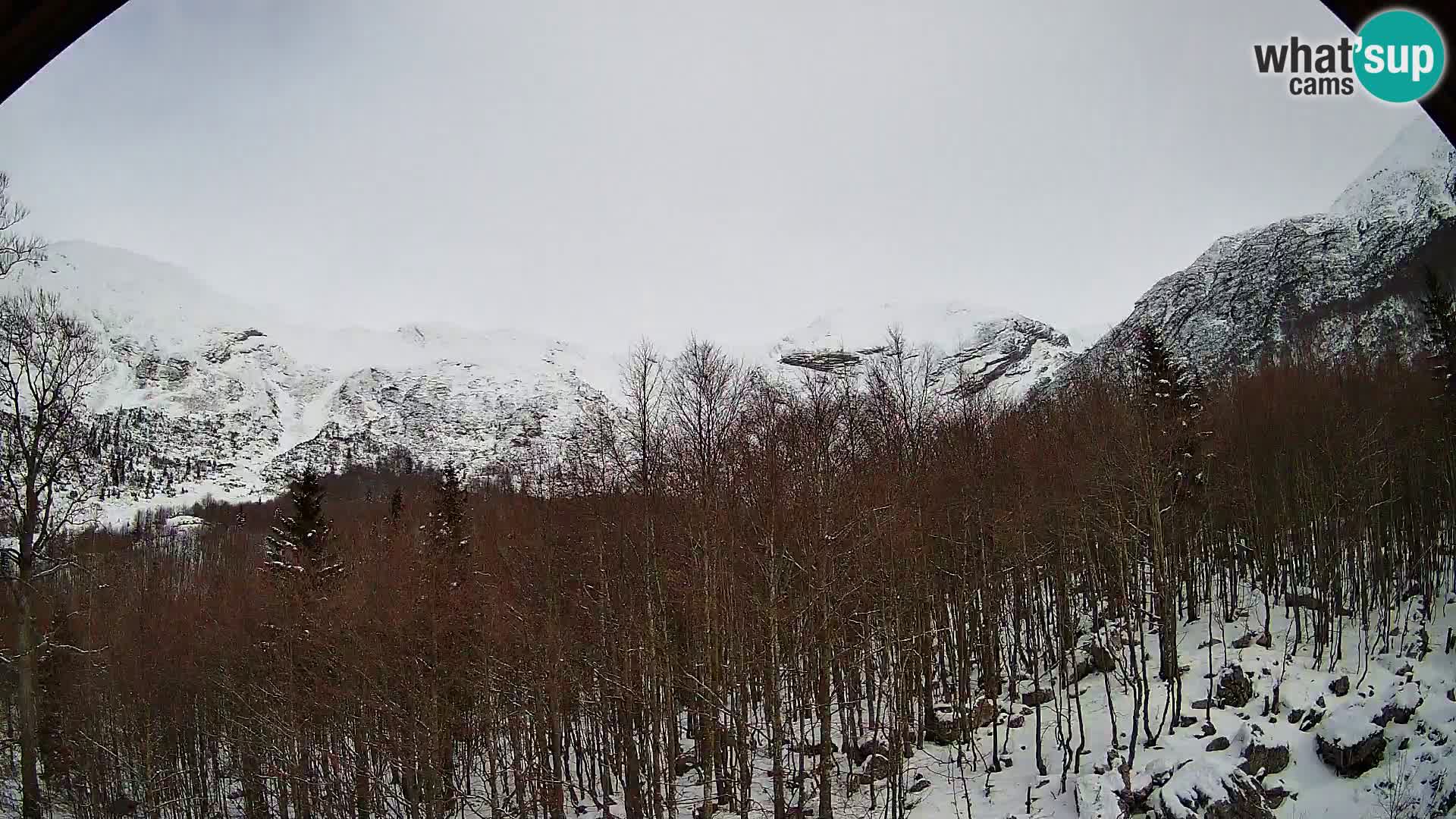 Livecam PLANINA RAZOR (1315) | vue sur Vogel et Globoko