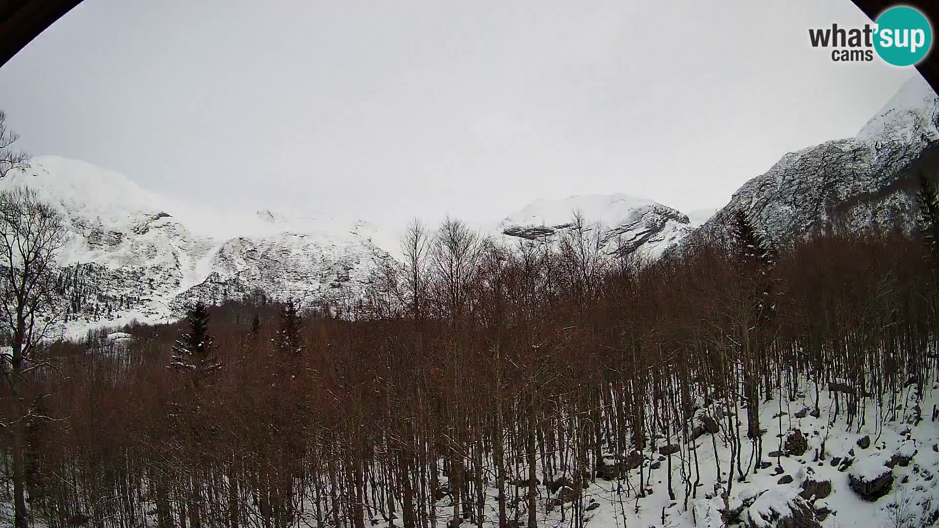 Livecam PLANINA RAZOR (1315) | vue sur Vogel et Globoko