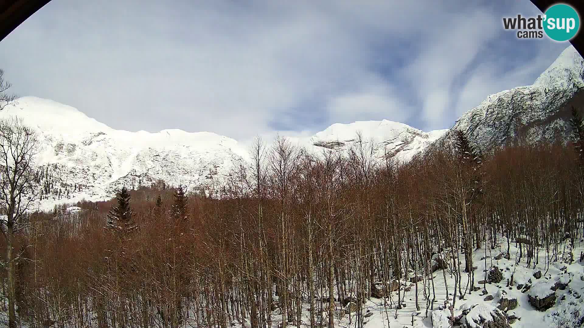 Webcam PLANINA RAZOR (1315) | Blick auf Vogel und Globoko