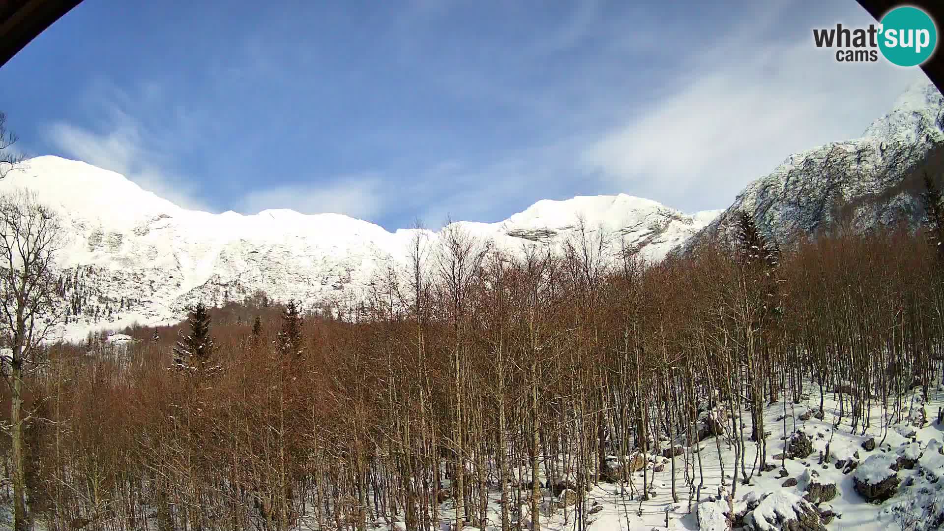 Livecam PLANINA RAZOR (1315) | vue sur Vogel et Globoko