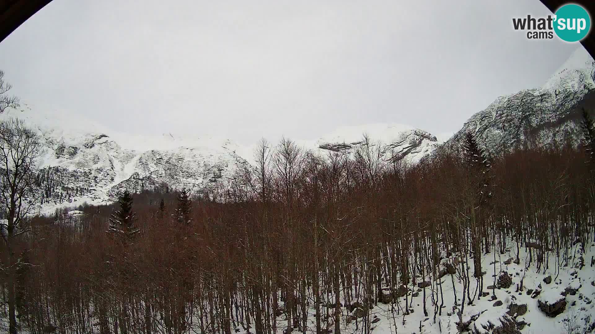 PLANINA RAZOR web kamera (1315) | pogled na Vogel i Globoko