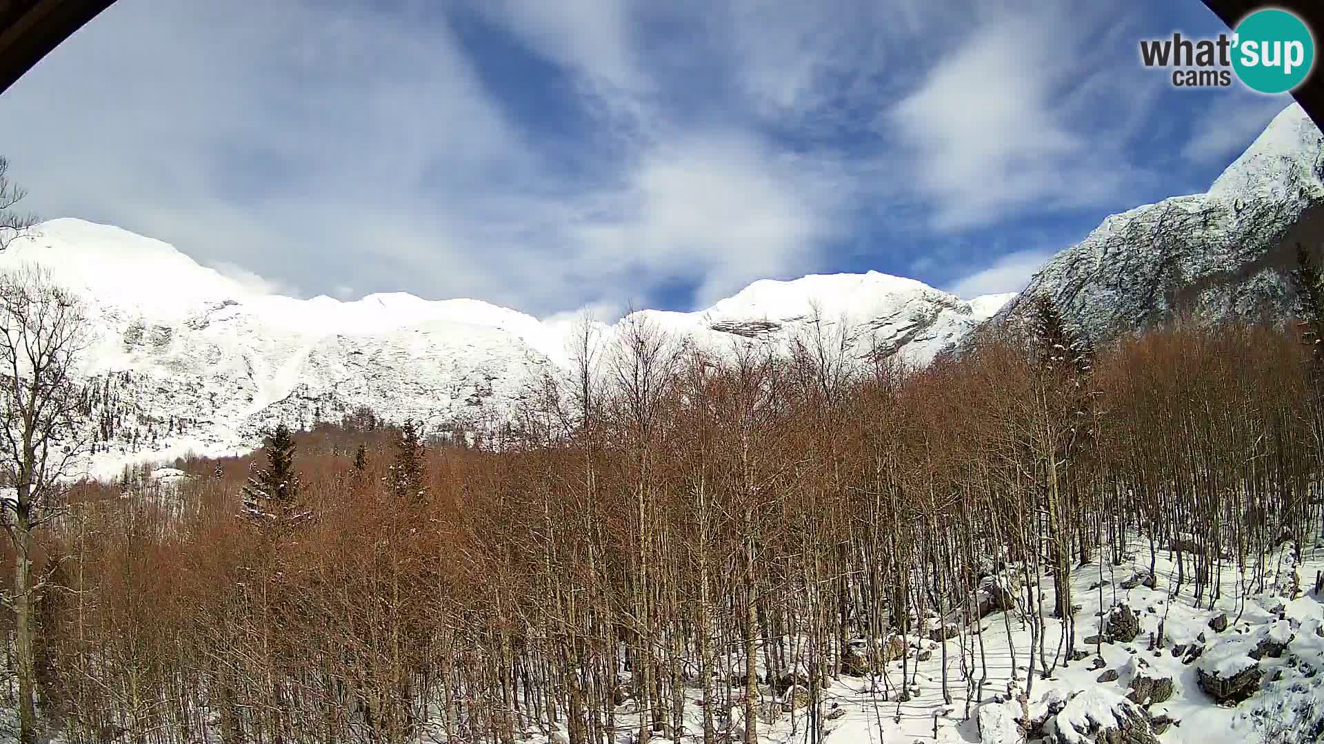 PLANINA RAZOR Live Cam (1315) | vista su Vogel e Globoko