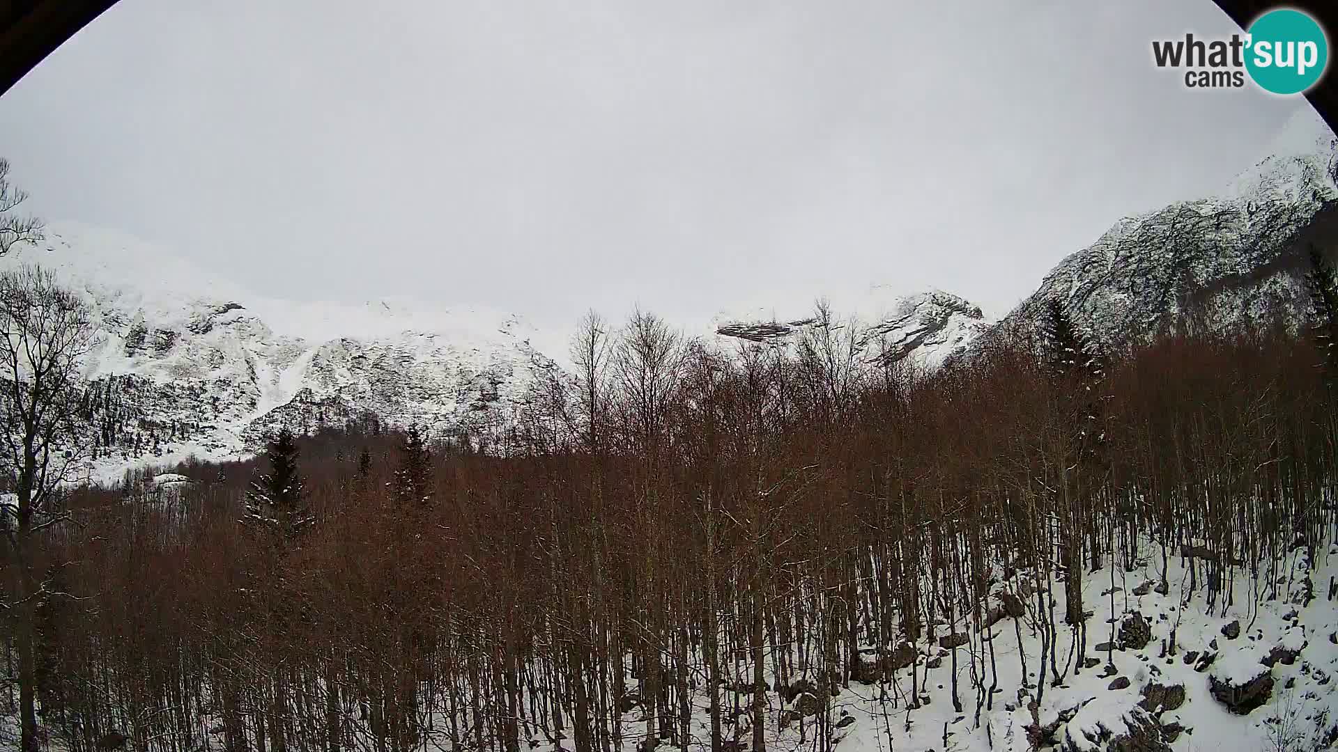 PLANINA RAZOR kamera (1315) | pogled na Vogel in Globoko