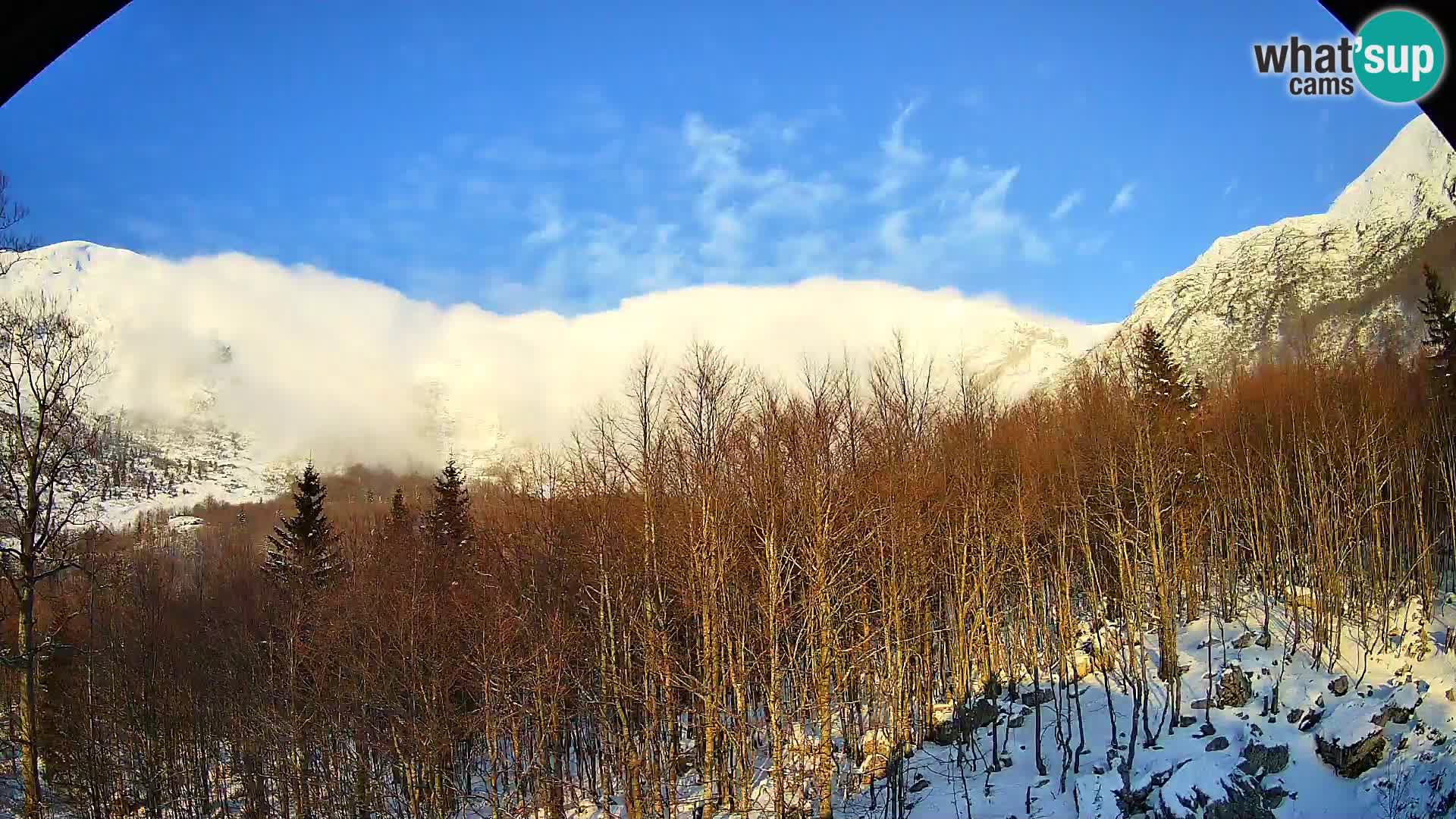 Livecam PLANINA RAZOR (1315) | vue sur Vogel et Globoko