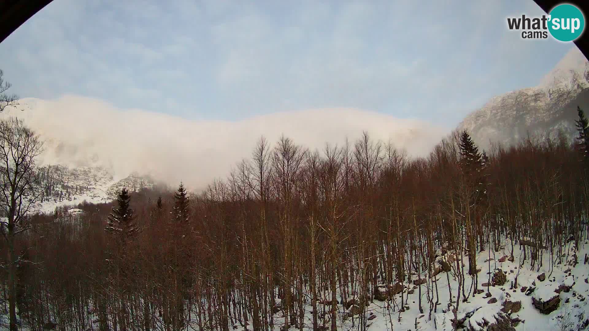 Livecam PLANINA RAZOR (1315) | vue sur Vogel et Globoko