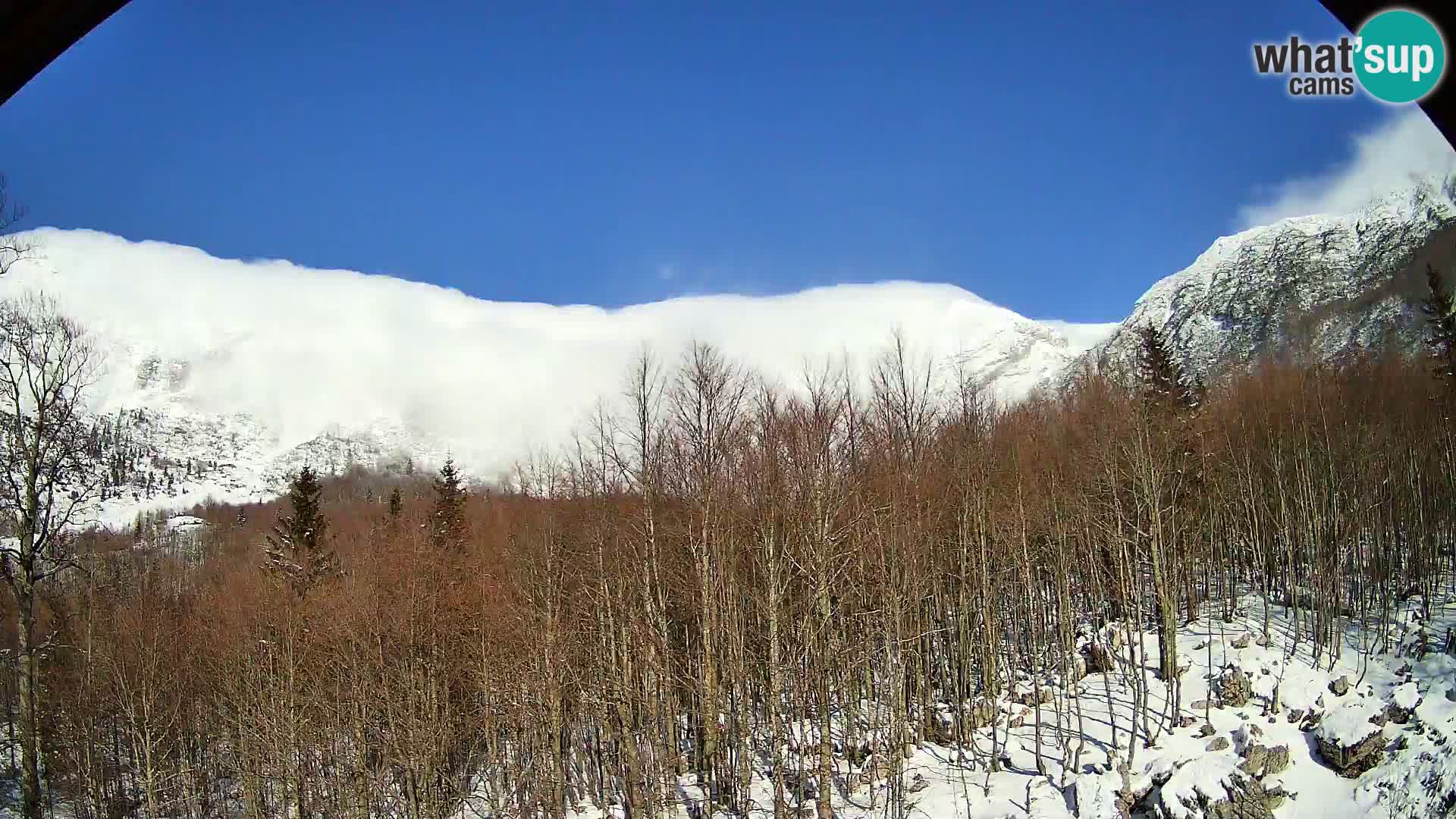 PLANINA RAZOR kamera (1315) | pogled na Vogel in Globoko