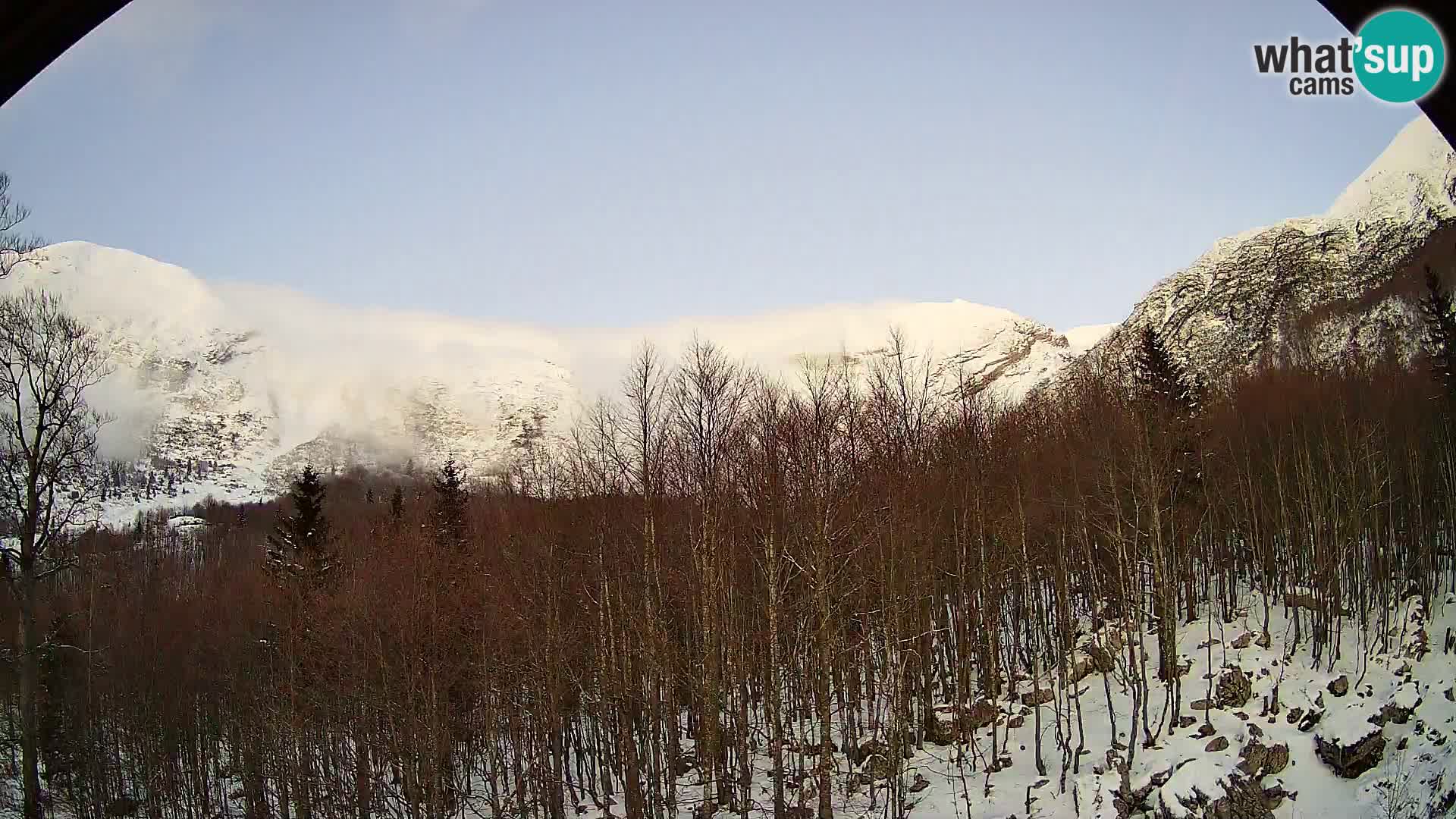 PLANINA RAZOR webcam (1315) | view to Vogel and Globoko