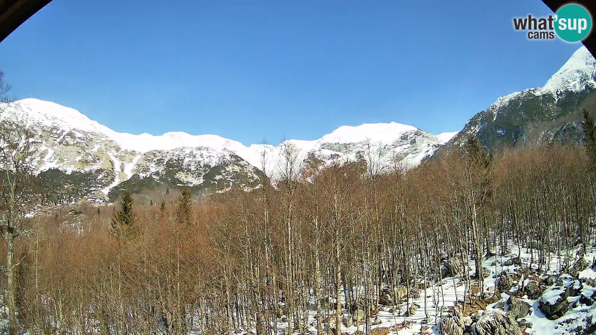 PLANINA RAZOR web kamera (1315) | pogled na Vogel i Globoko