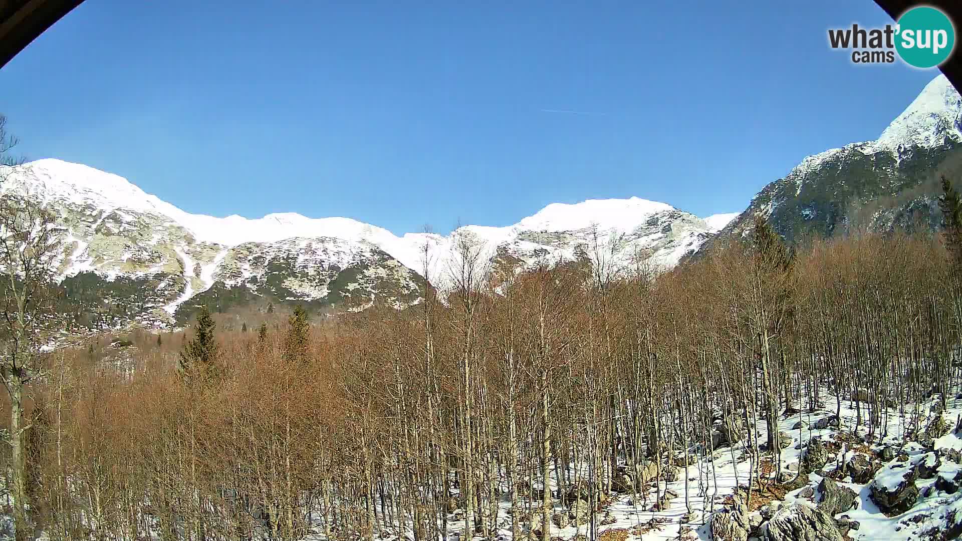 Webcam PLANINA RAZOR (1315) | Blick auf Vogel und Globoko