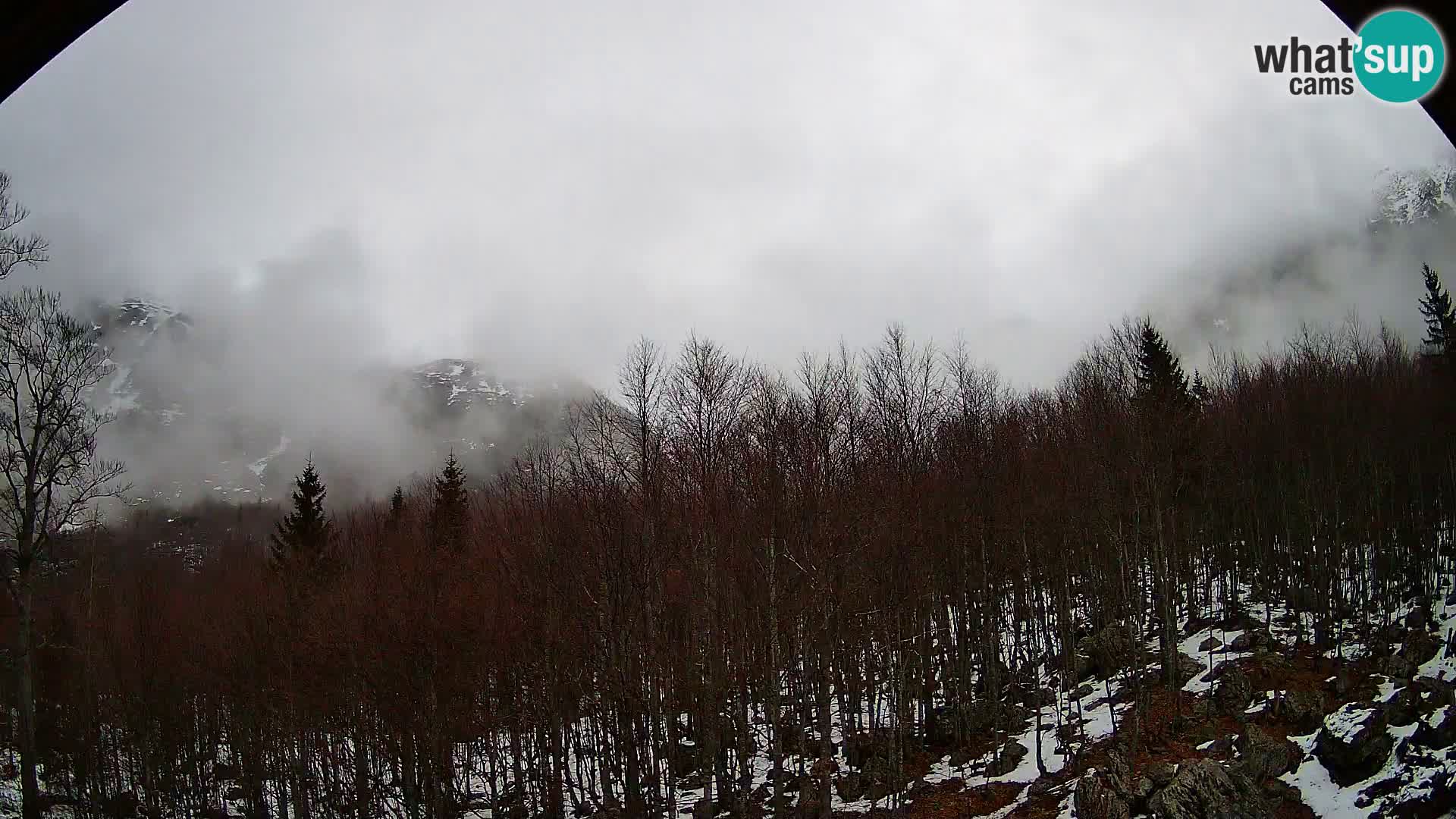 PLANINA RAZOR kamera (1315) | pogled na Vogel in Globoko