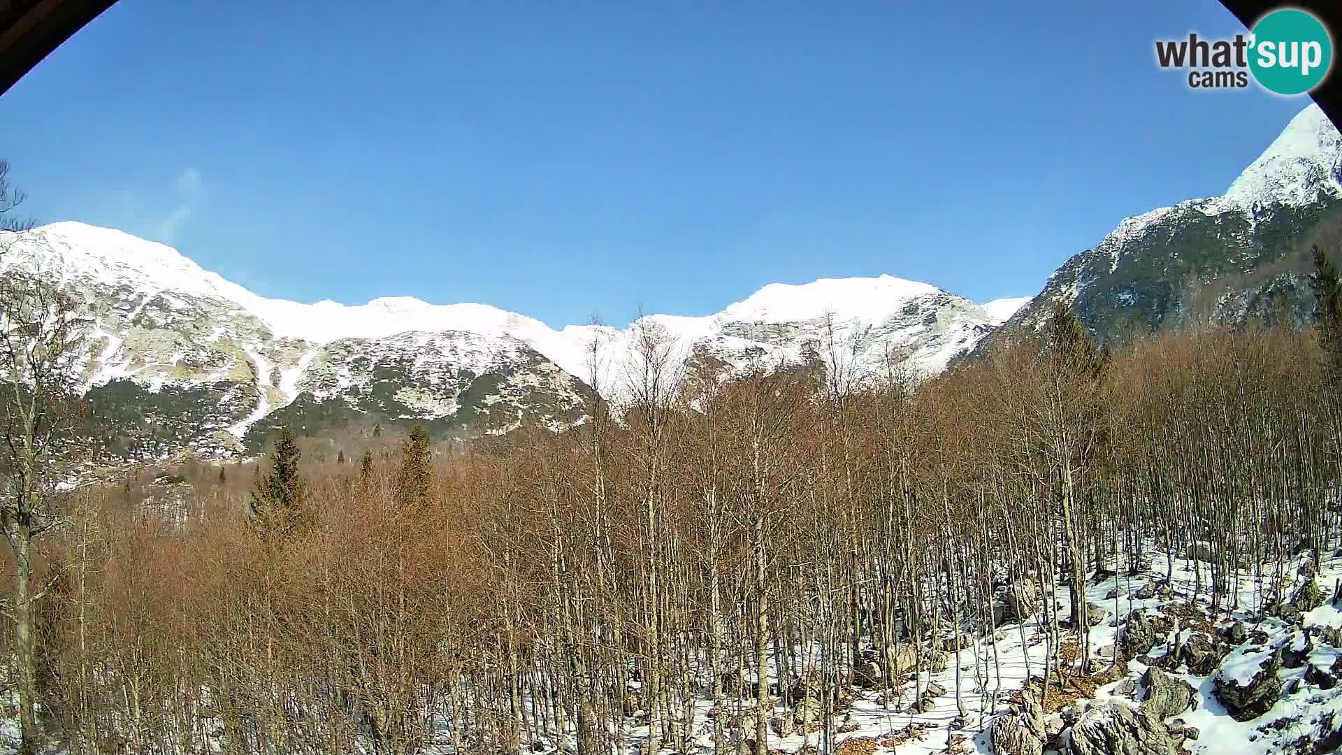 Livecam PLANINA RAZOR (1315) | vue sur Vogel et Globoko