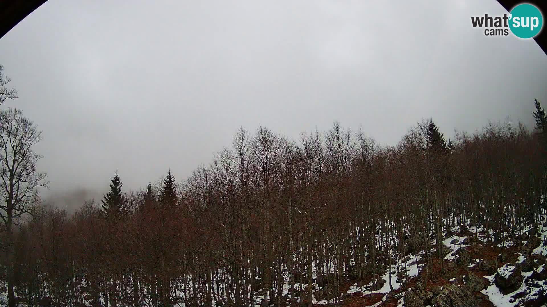 Webcam PLANINA RAZOR (1315) | Blick auf Vogel und Globoko