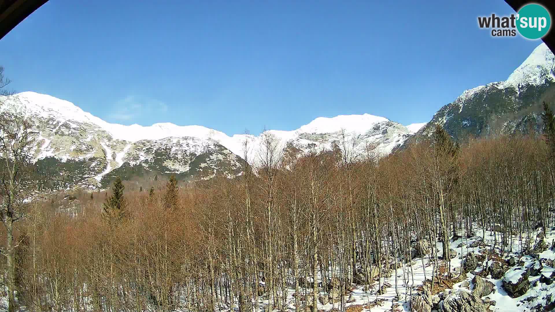 PLANINA RAZOR Live Cam (1315) | vista su Vogel e Globoko