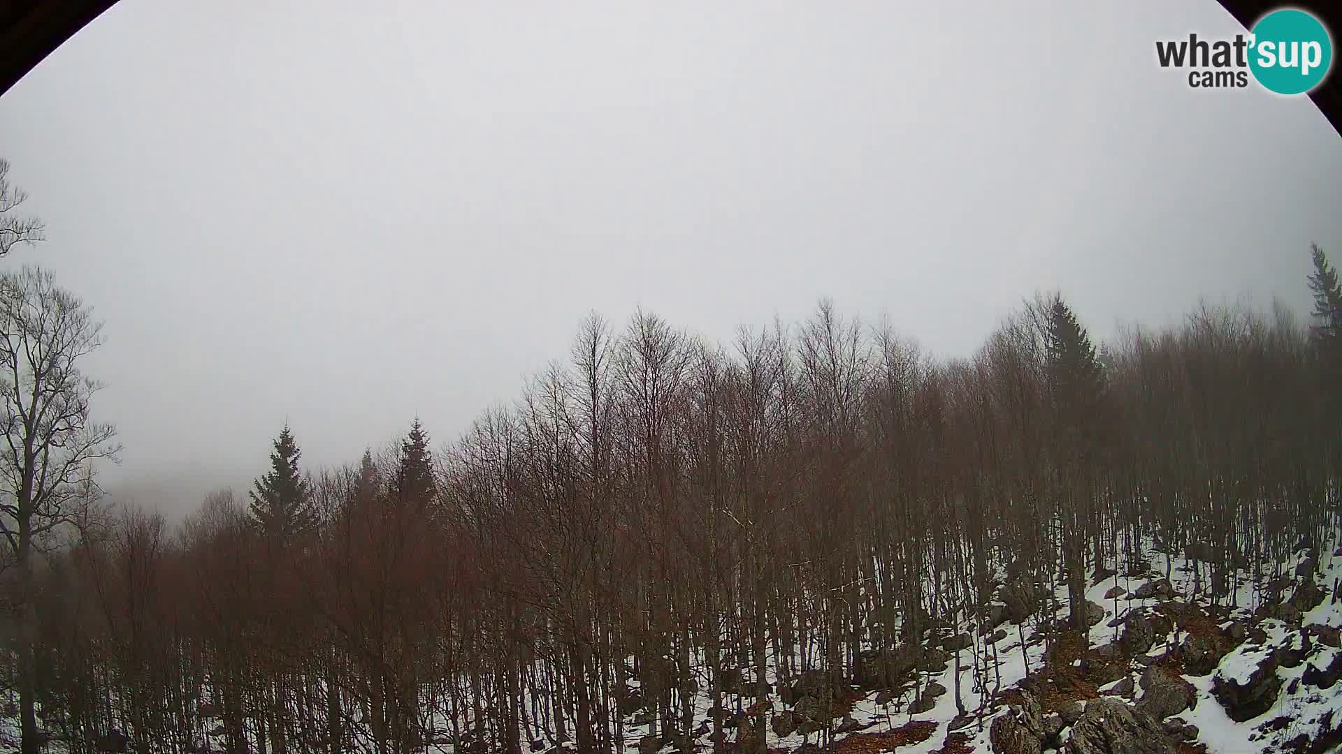 Webcam PLANINA RAZOR (1315) | Blick auf Vogel und Globoko