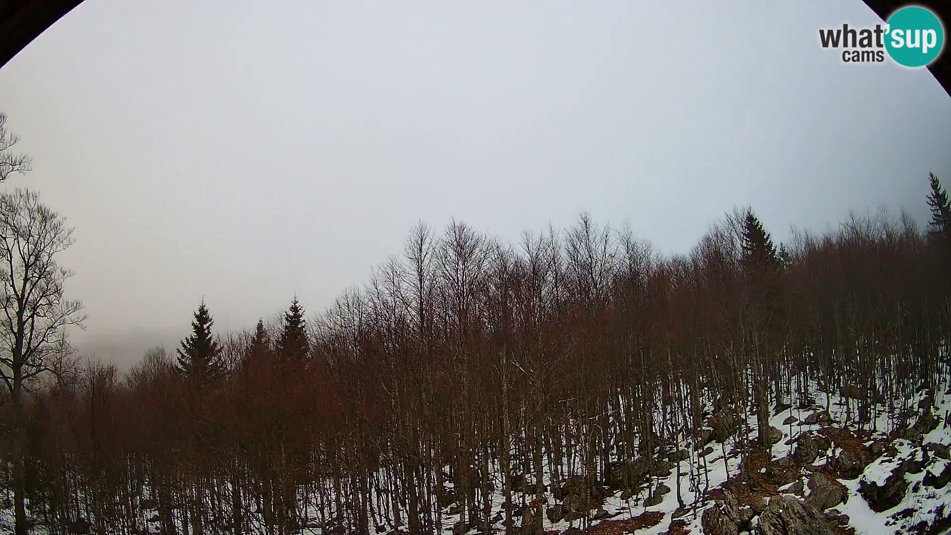 PLANINA RAZOR Live Cam (1315) | vista su Vogel e Globoko