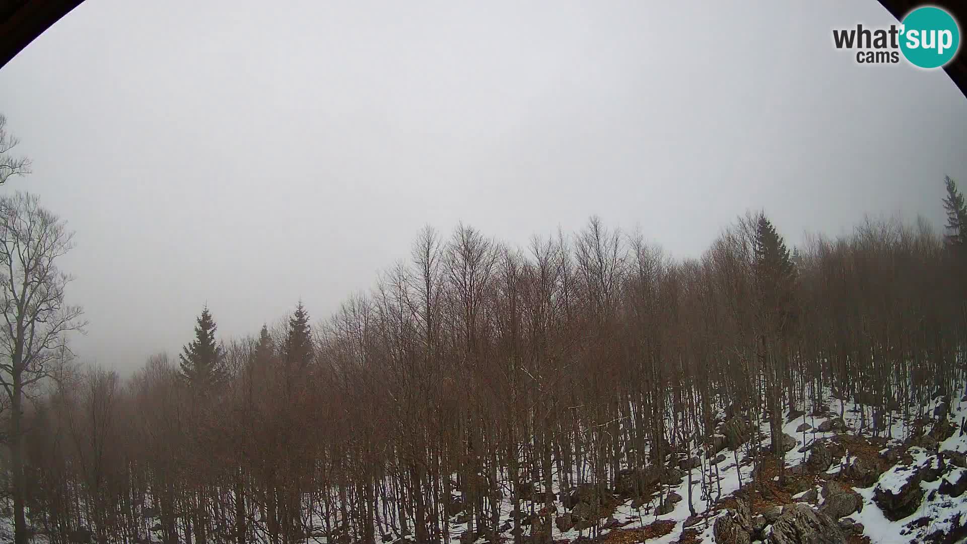 Webcam PLANINA RAZOR (1315) | Blick auf Vogel und Globoko