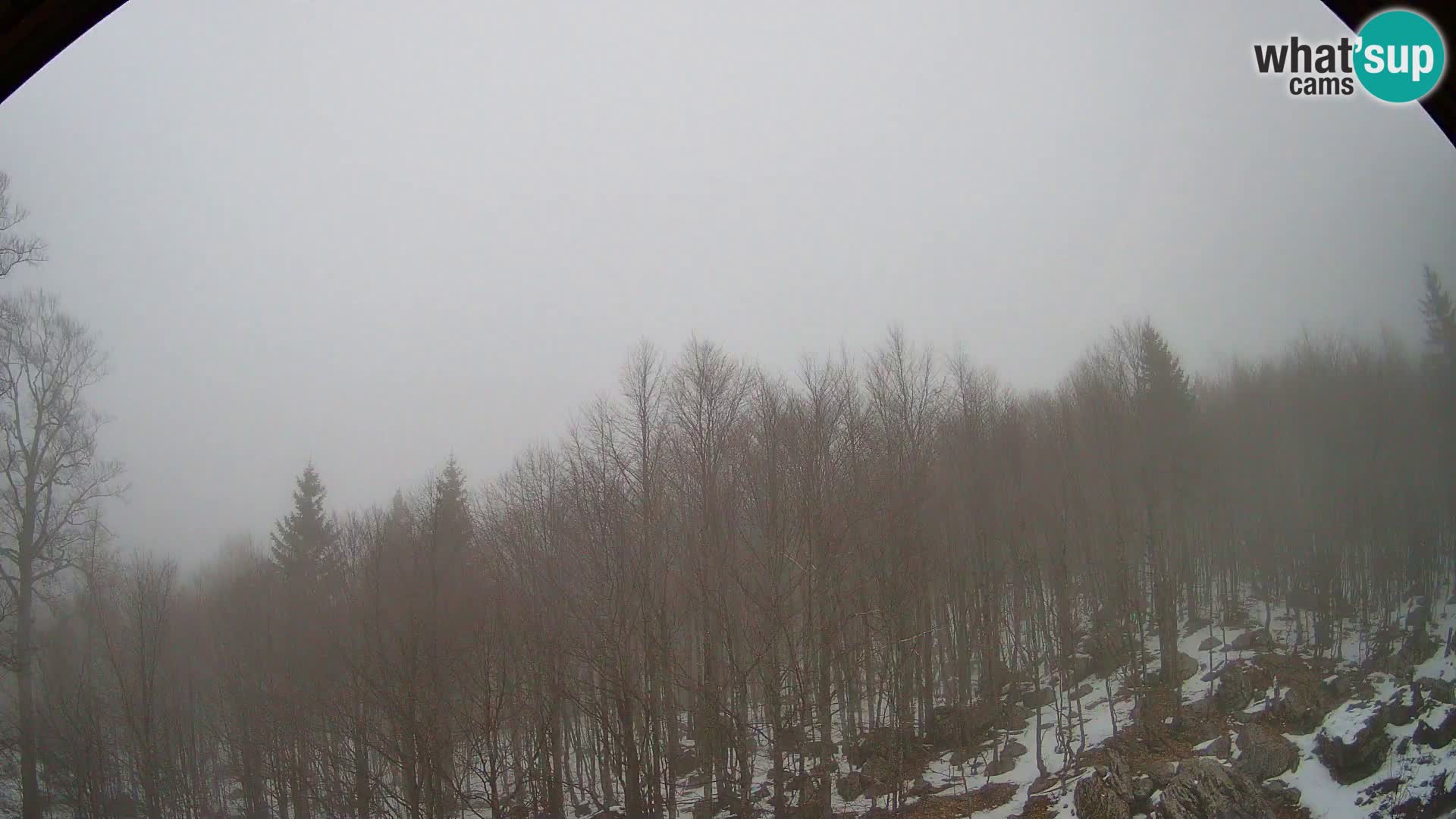 PLANINA RAZOR webcam (1315) | view to Vogel and Globoko