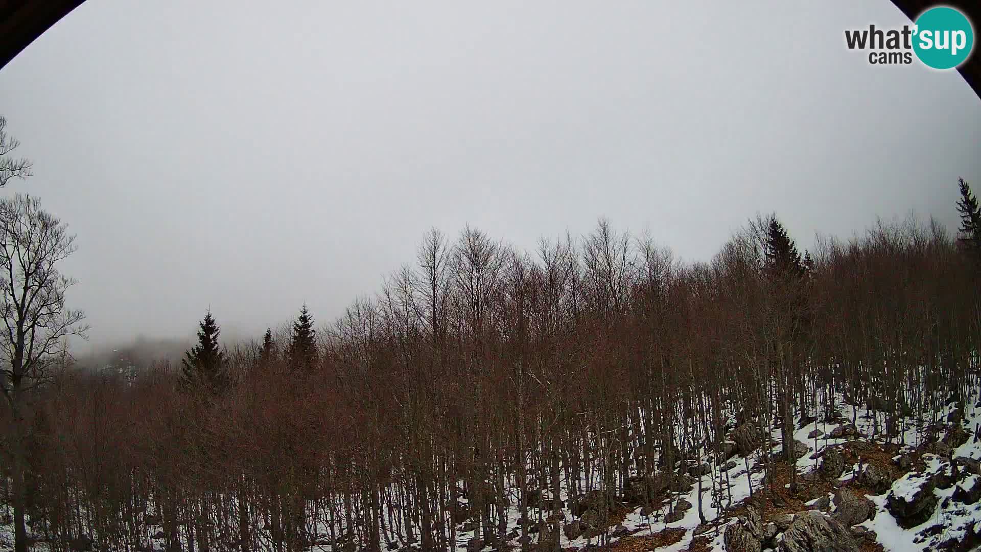 PLANINA RAZOR Live Cam (1315) | vista su Vogel e Globoko