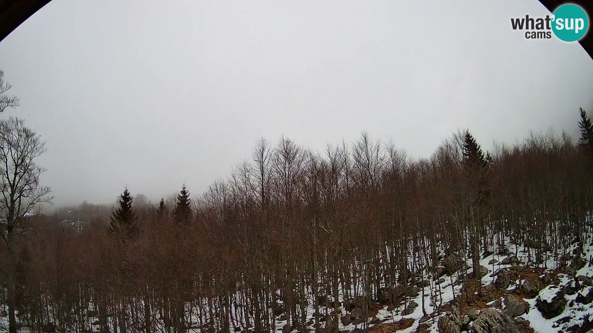 PLANINA RAZOR kamera (1315) | pogled na Vogel in Globoko