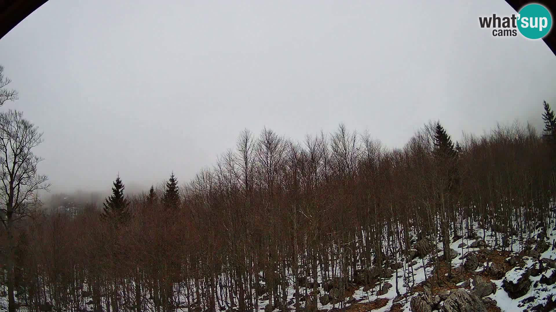 PLANINA RAZOR webcam (1315) | view to Vogel and Globoko