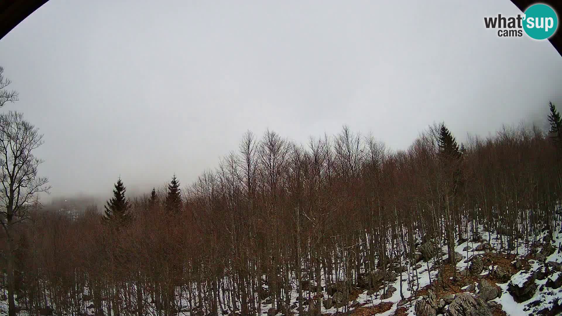 PLANINA RAZOR Live Cam (1315) | vista su Vogel e Globoko