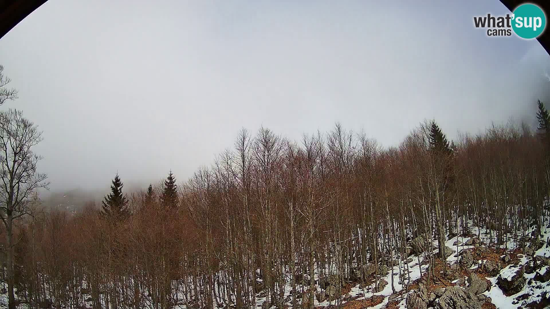 PLANINA RAZOR Live Cam (1315) | vista su Vogel e Globoko