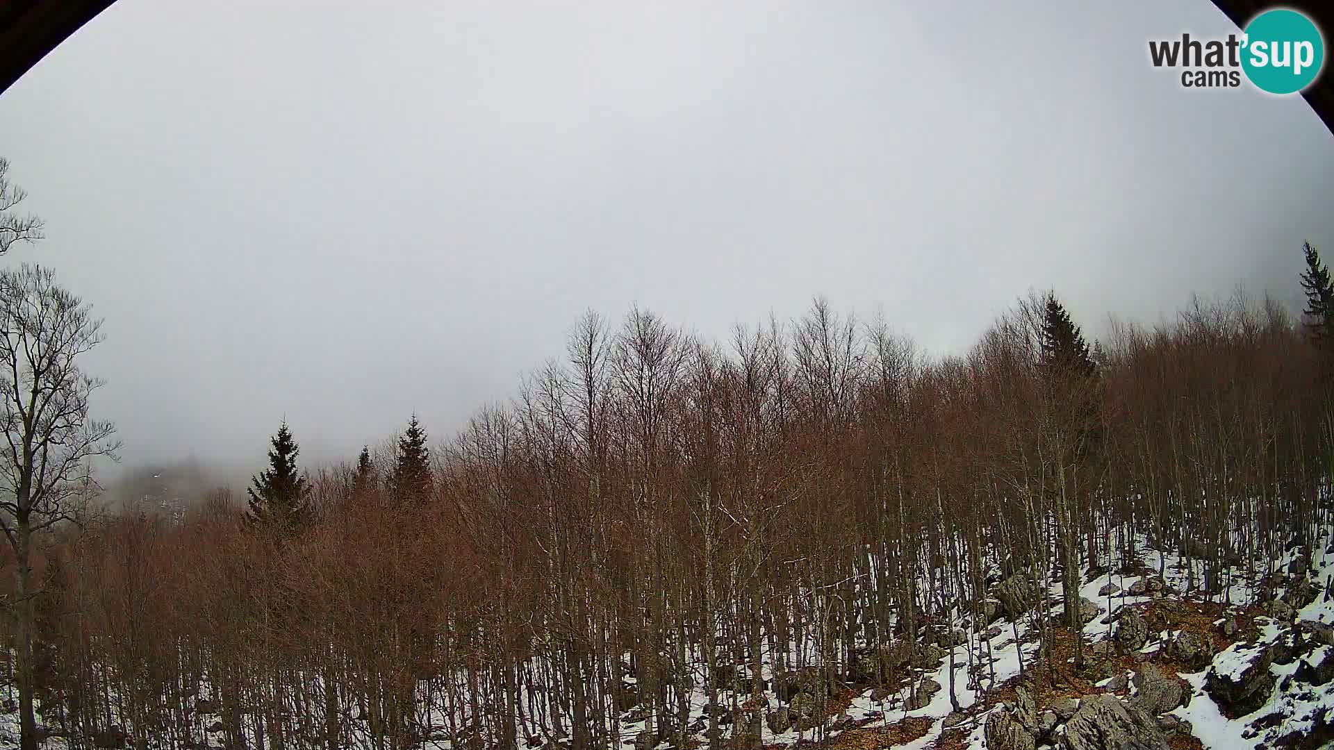 PLANINA RAZOR Live Cam (1315) | vista su Vogel e Globoko