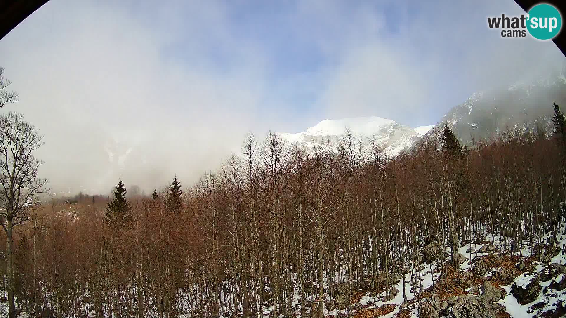 PLANINA RAZOR Live Cam (1315) | vista su Vogel e Globoko