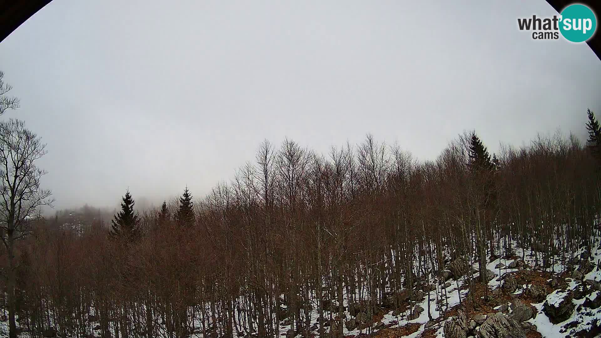 PLANINA RAZOR webcam (1315) | view to Vogel and Globoko