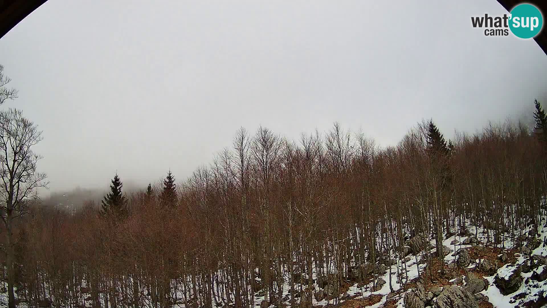 Webcam PLANINA RAZOR (1315) | Blick auf Vogel und Globoko