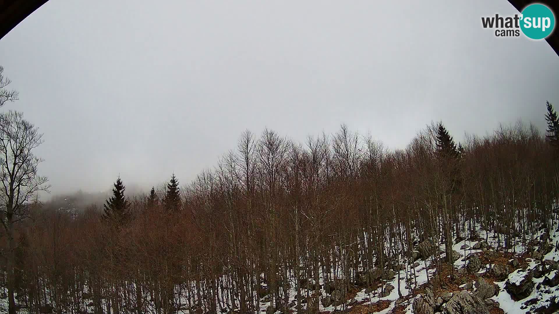 PLANINA RAZOR Live Cam (1315) | vista su Vogel e Globoko