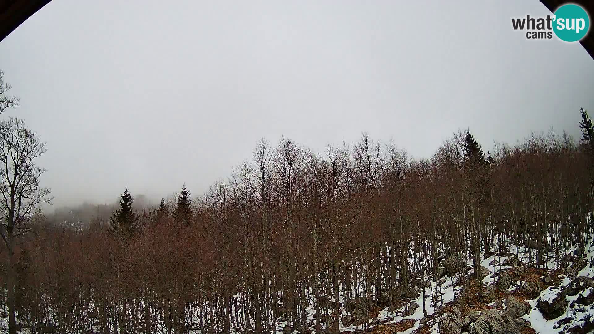 Webcam PLANINA RAZOR (1315) | Blick auf Vogel und Globoko