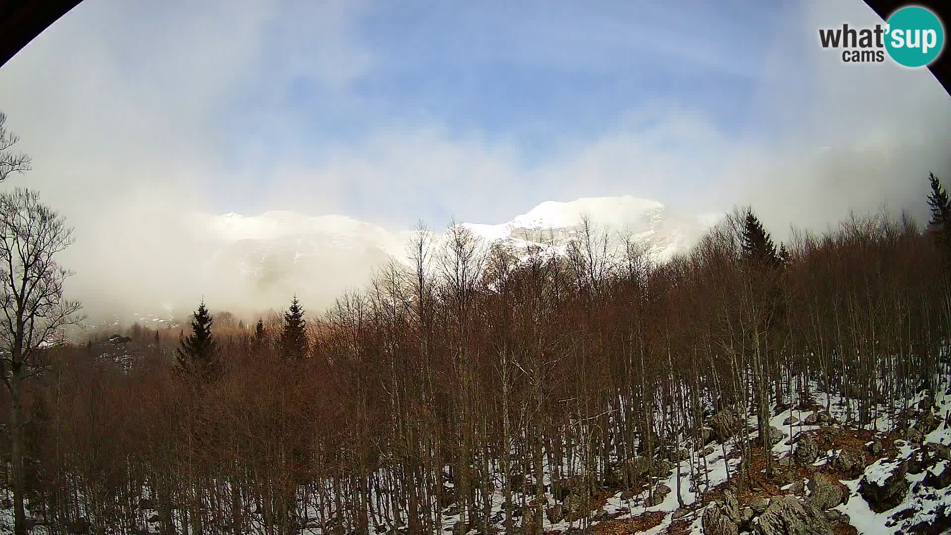 Webcam PLANINA RAZOR (1315) | Blick auf Vogel und Globoko