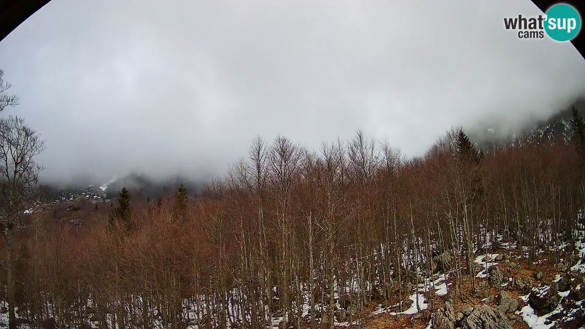 Webcam PLANINA RAZOR (1315) | Blick auf Vogel und Globoko