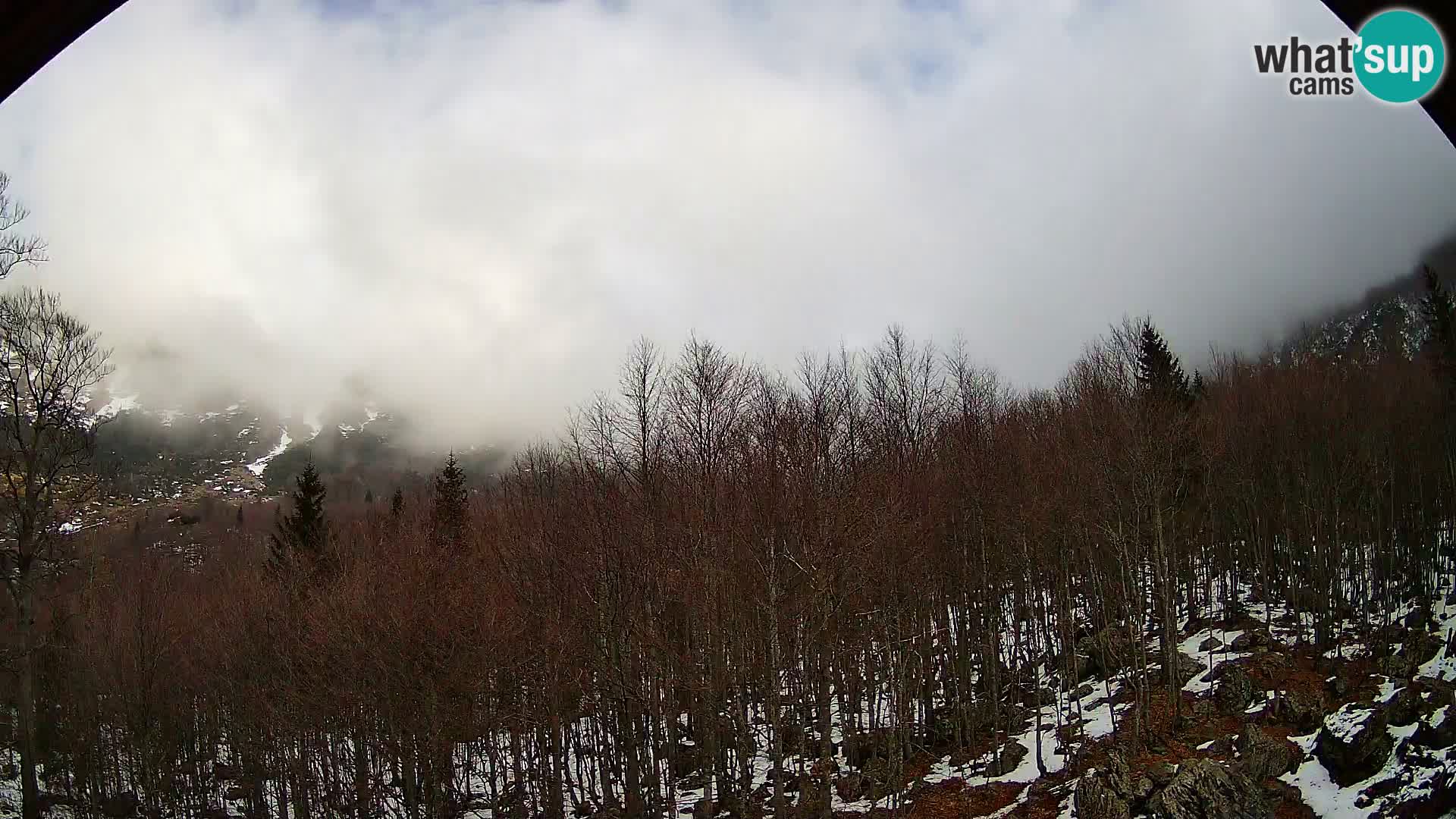 PLANINA RAZOR kamera (1315) | pogled na Vogel in Globoko