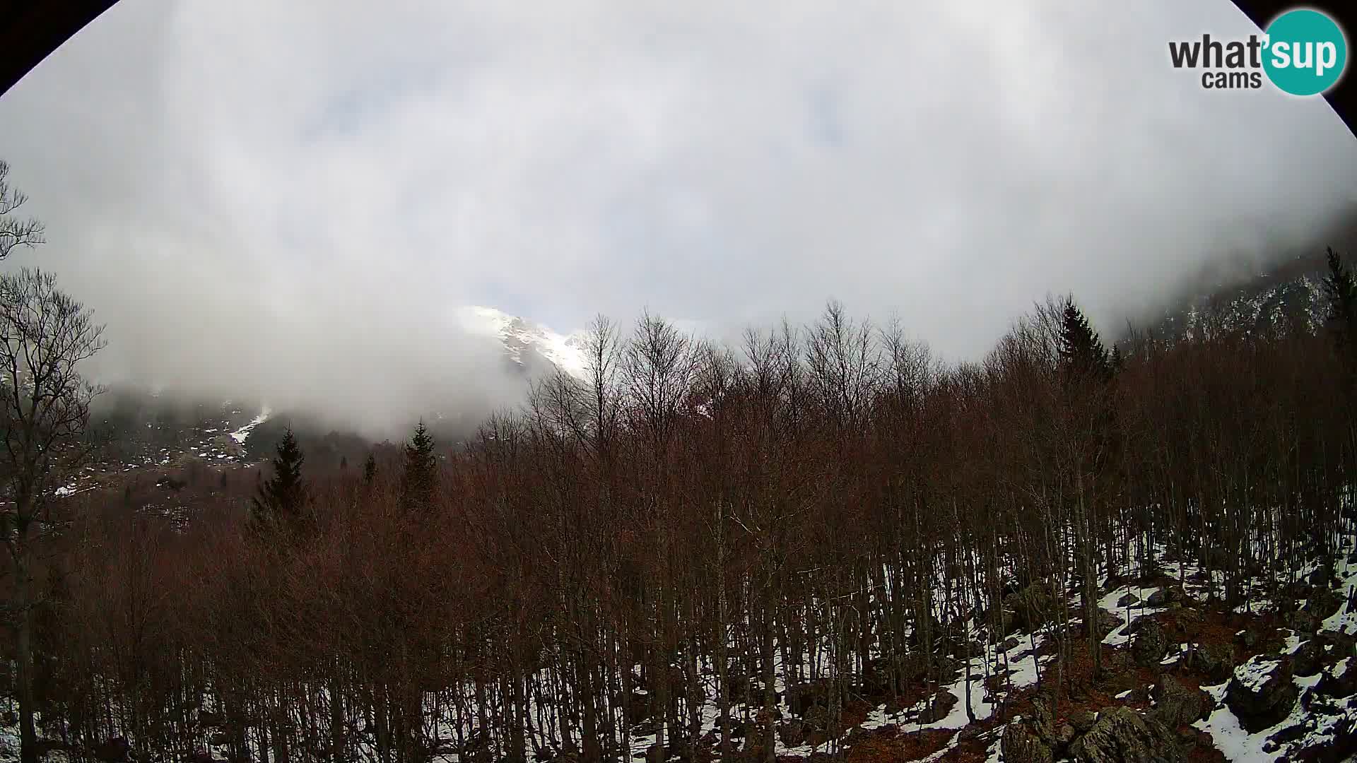 Webcam PLANINA RAZOR (1315) | Blick auf Vogel und Globoko