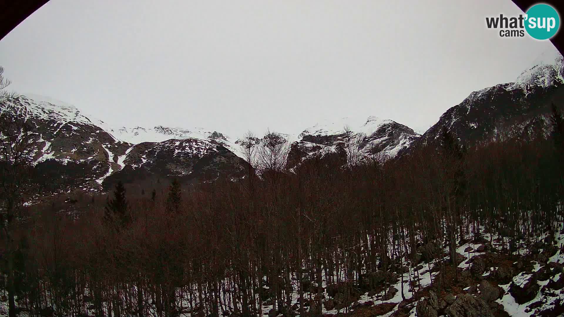 PLANINA RAZOR kamera (1315) | pogled na Vogel in Globoko