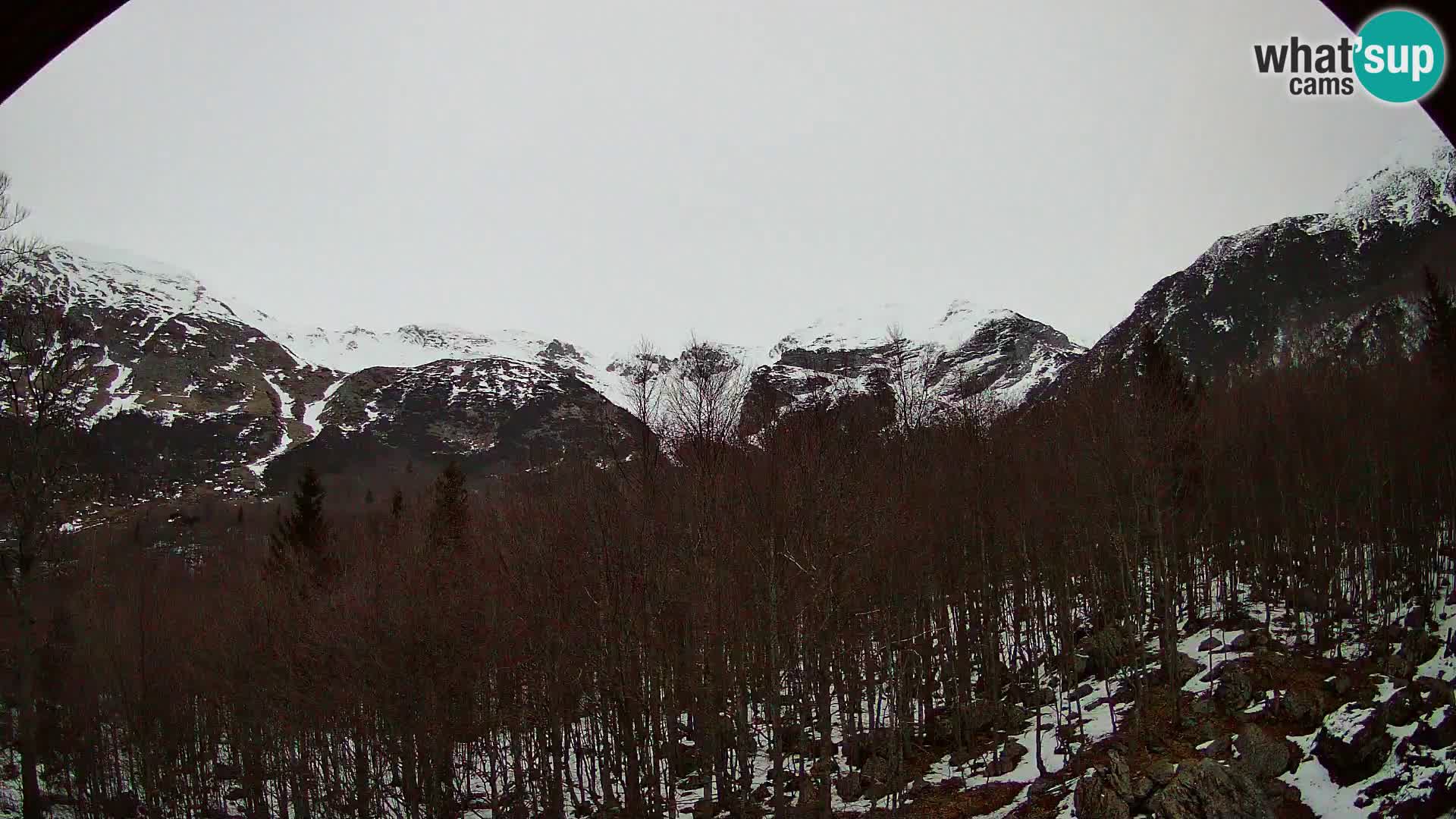 Webcam PLANINA RAZOR (1315) | Blick auf Vogel und Globoko