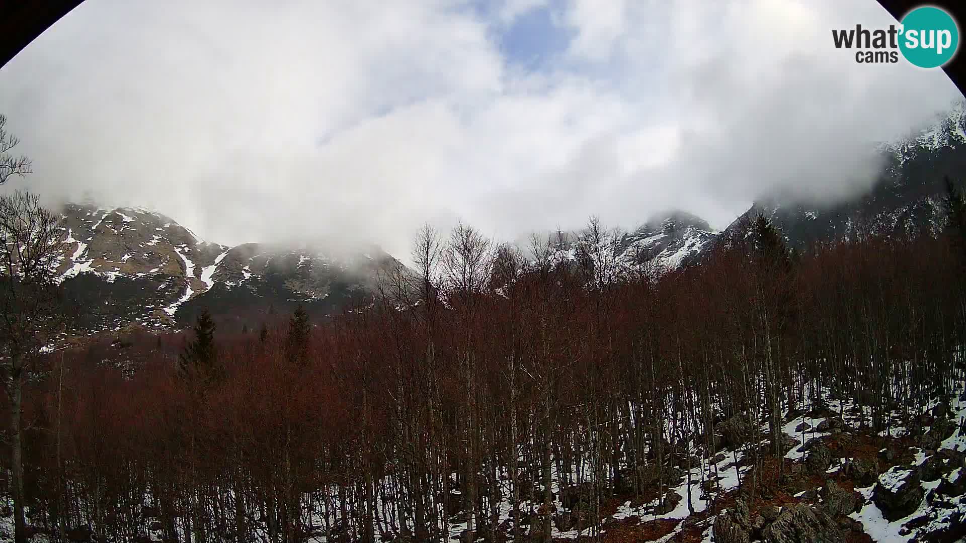 PLANINA RAZOR webcam (1315) | view to Vogel and Globoko