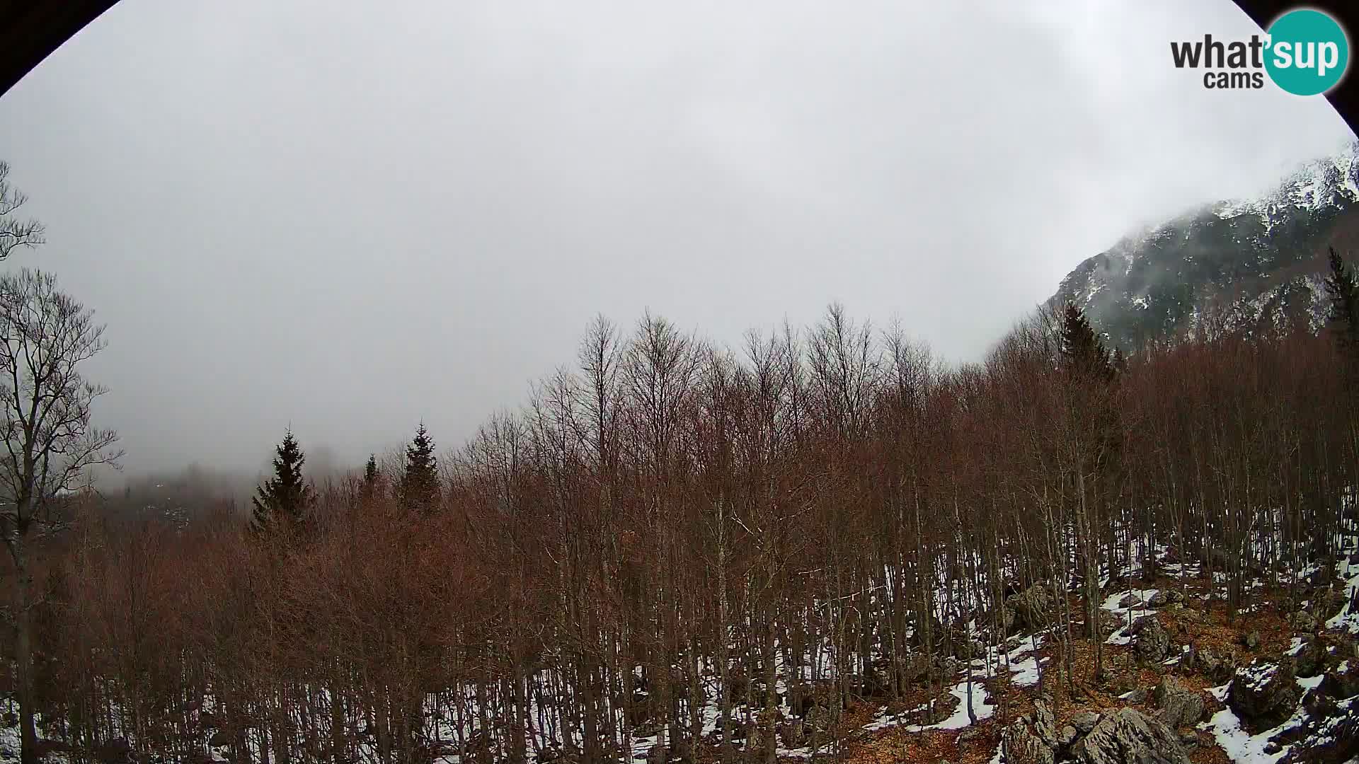 Webcam PLANINA RAZOR (1315) | Blick auf Vogel und Globoko